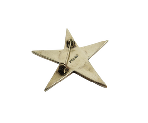 Vintage Mexico Silver Abalone Shell Star Brooch
