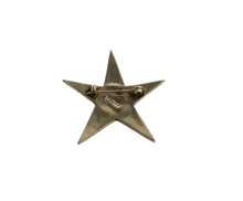 Load image into Gallery viewer, Vintage Mexico Silver Abalone Shell Star Brooch
