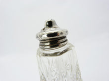 Load image into Gallery viewer, David Loebl Schindler &amp; Co. Cut Glass Silver Lidded Salt/Pepper Pot