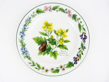 Load image into Gallery viewer, Royal Worcester Herbs Black Mustard Plate