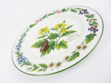 Load image into Gallery viewer, Royal Worcester Herbs Black Mustard Plate