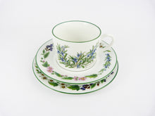 Load image into Gallery viewer, Royal Worcester Herbs Tea Cups Set -Vintage Worcester Herb Rosemary &amp; Peppermint Tea Set of 4