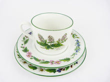 Load image into Gallery viewer, Royal Worcester Herbs Tea Cups Set -Vintage Worcester Herb Rosemary &amp; Peppermint Tea Set of 4