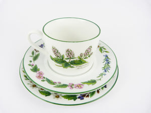 Royal Worcester Herbs Tea Cups Set -Vintage Worcester Herb Rosemary & Peppermint Tea Set of 4
